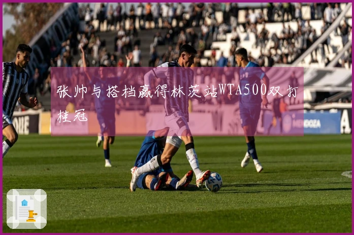 张帅与搭档赢得林茨站WTA500双打桂冠