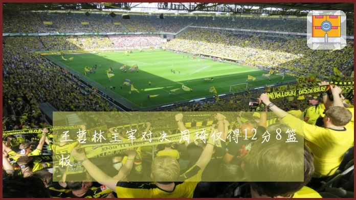 王哲林主宰对决 周琦仅得12分8篮板